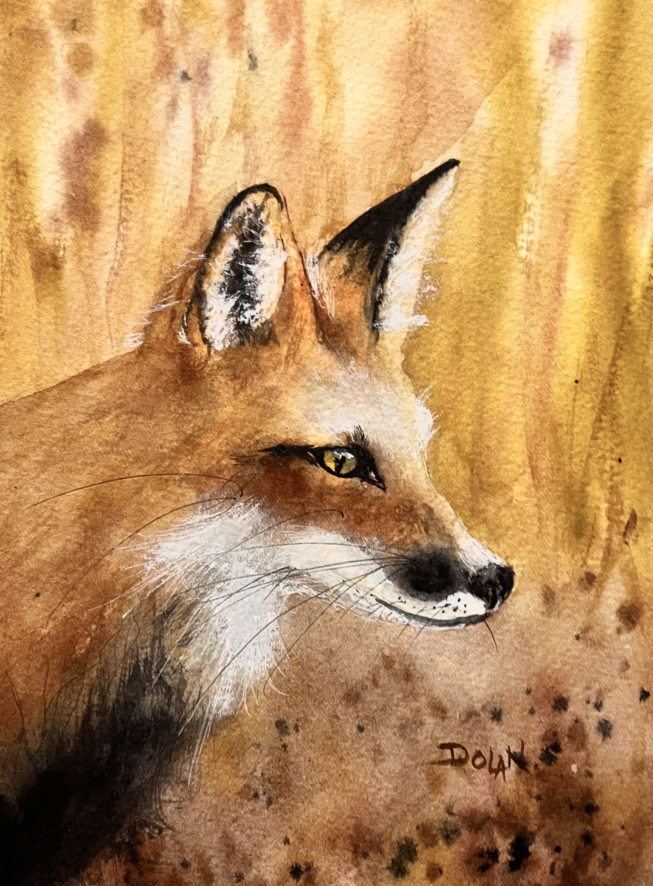 X Fox In Fall
